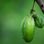 Resepi Sambal Hitam Belimbing Buluh Pahang