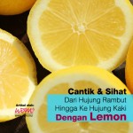 Wajib Tahu! 13 Kebaikan Lemon