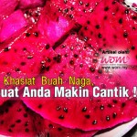 10 Khasiat Buah Naga Merah