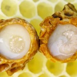 Kandungan Dan Khasiat Royal Jelly Sangat Unik & Misteri  