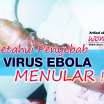 Ketahui Penyebab Virus Ebola Menular!