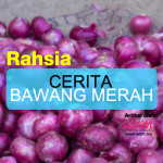 7 Khasiat Bawang Merah