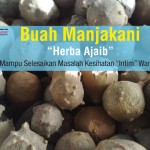 19 Rahsia Kehebatan Buah Manjakani