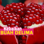 Kebaikan Luar Biasa Buah Delima Merah atau Red Pomegranate