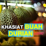  Khasiat Buah Durian