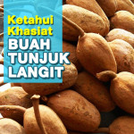 Khasiat Tersendiri Buah Tunjuk Langit