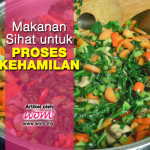 4 Jenis Makanan Percepatkan Proses Kehamilan