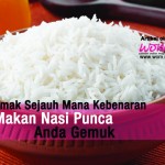 Nasi Punca Anda Gemuk?