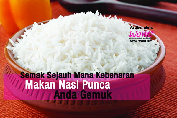 nasi putih - women online magazine