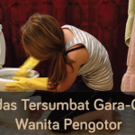 Tandas Tersumbat Gara-Gara Wanita Pengotor!