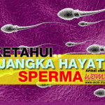 Ketahui Jangka Hayat Sperma Boleh Hidup