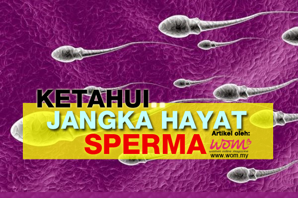 Jangka Hayat Sperma - women online magazine