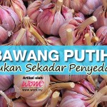 10 Khasiat Mujarab Bawang Putih