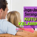 Kutu Kelamin Boleh Buat Kemaluan Anda Jadi Gatal