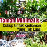 Taman Minimalis, Cukup Untuk Kediaman Yang Tak Luas