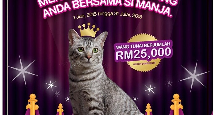 Whiskas Makanan Kucing 2