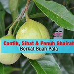 Cantik, Sihat & Penuh Ghairah Berkat Buah Pala