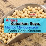 Antara Kebaikan Soya, Mampu Mengurangkan Garis-Garis Kedutan