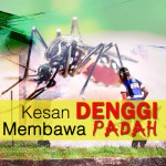 Kesan Denggi Makin Mengancam Nyawa!