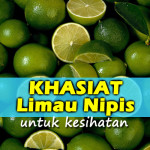 Mesti Cuba! Kurus Dengan Khasiat Limau Nipis