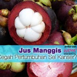 Jus Manggis Cegah Pertumbuhan Sel Kanser?