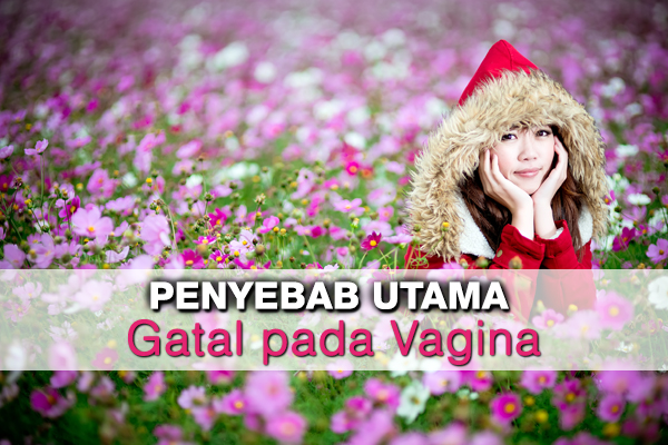 penyebab utama gatal pada vagina - women online magazine