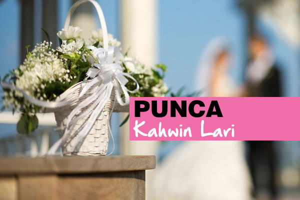 punca kahwin lari - women online magazine