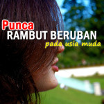 Punca Rambut  Cepat Beruban