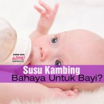 4 Sebab Susu Kambing Bahaya Untuk Bayi Anda